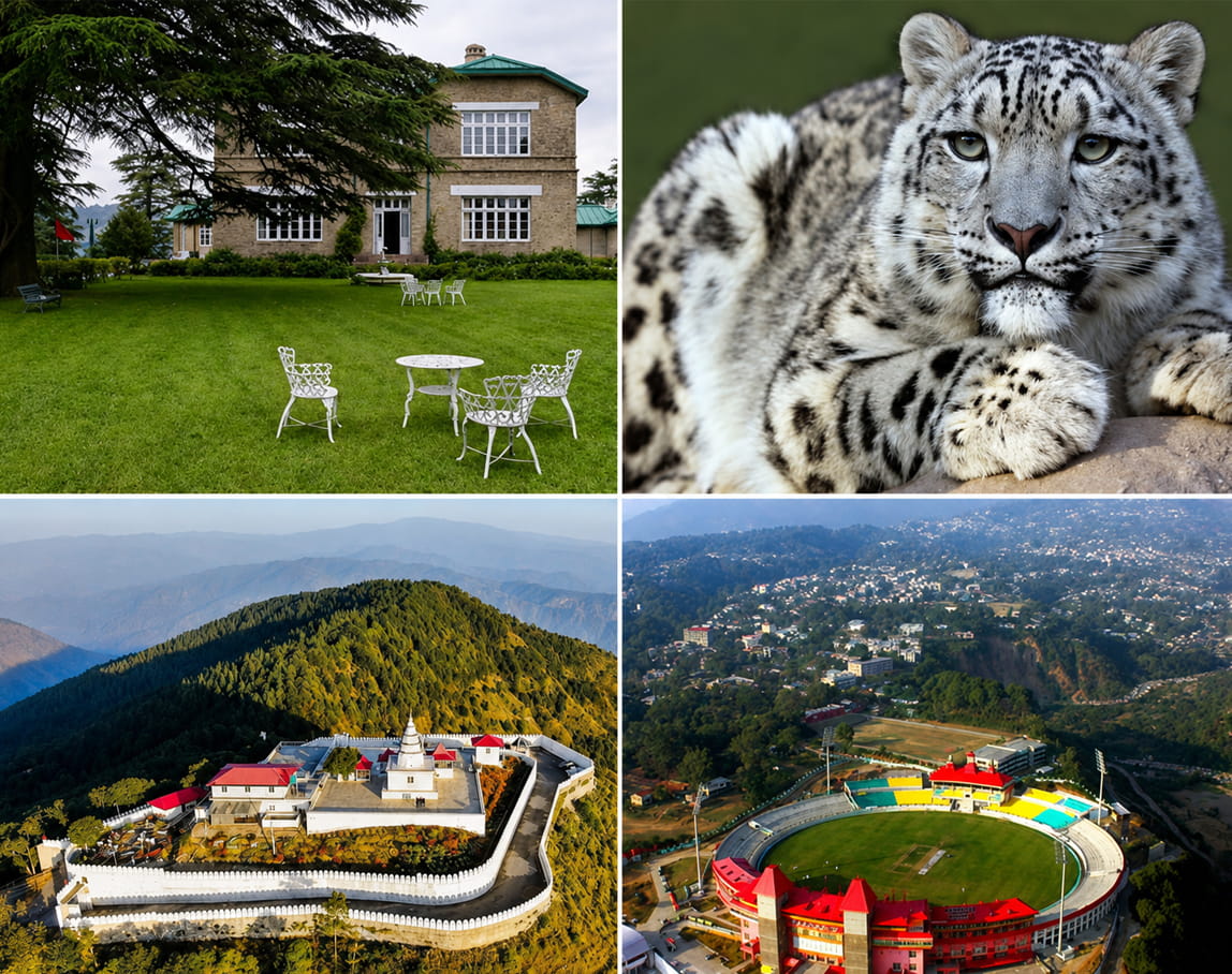 Places to Visit in Chail for Students